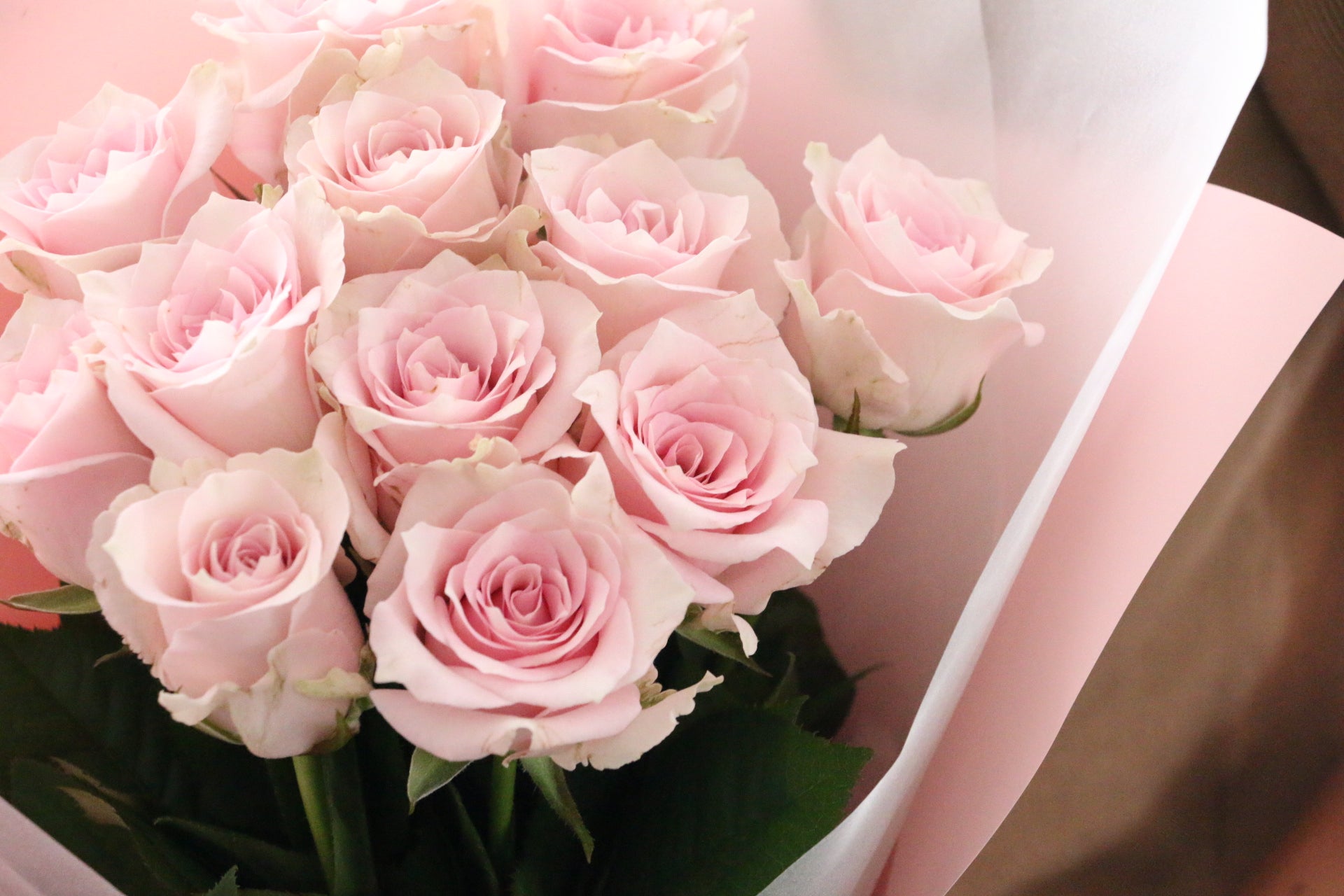 プロポーズのピンク色バラの花束（12本） – 花・花束の通販サイト