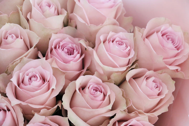 23本のピンク色のバラの花束-あなたと一緒にいたい