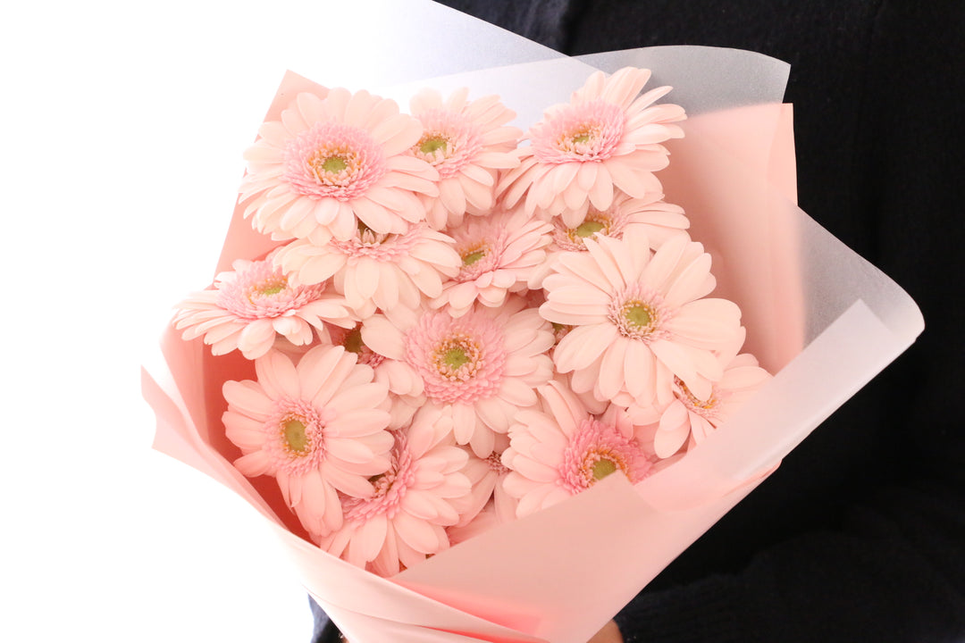 ピンク色のガーベラの花束（18本）-誠実