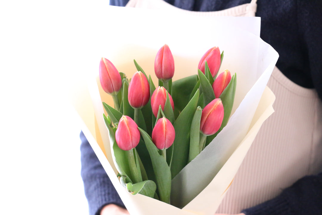 赤色のチューリップの花束（9本）