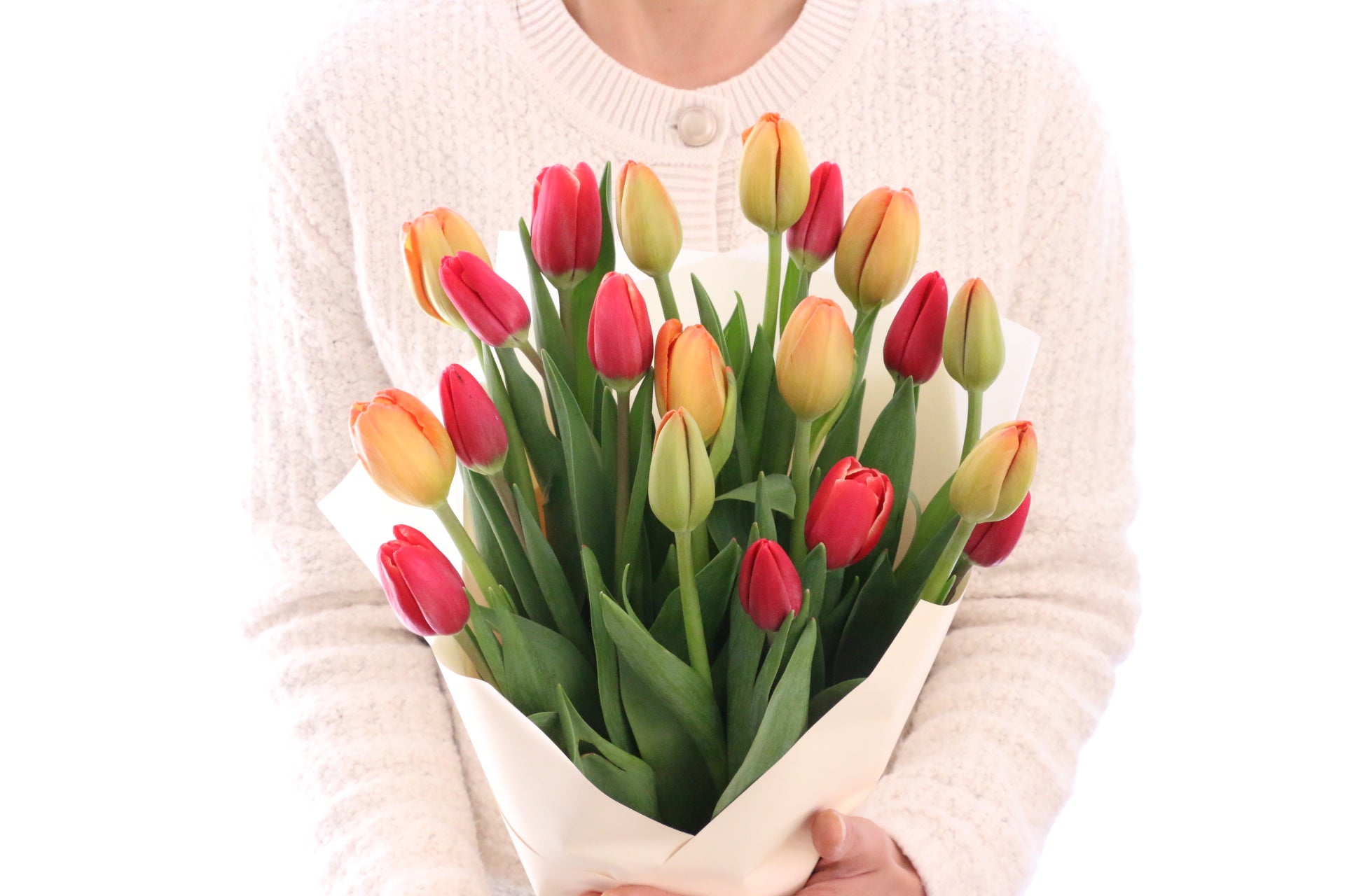 2色MIX】チューリップの花束（20本） – 花・花束の通販サイト｜HanaTaku