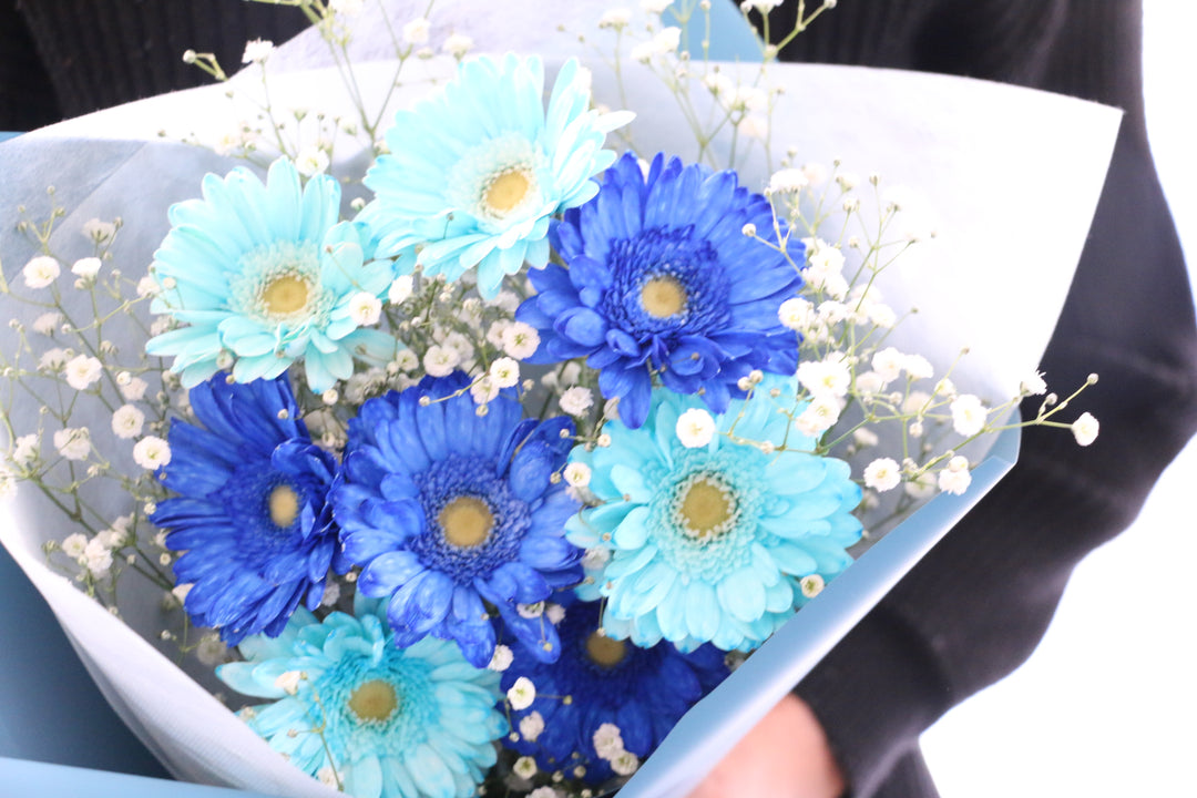 水色と青色のガーベラ（8本）とカスミソウの花束