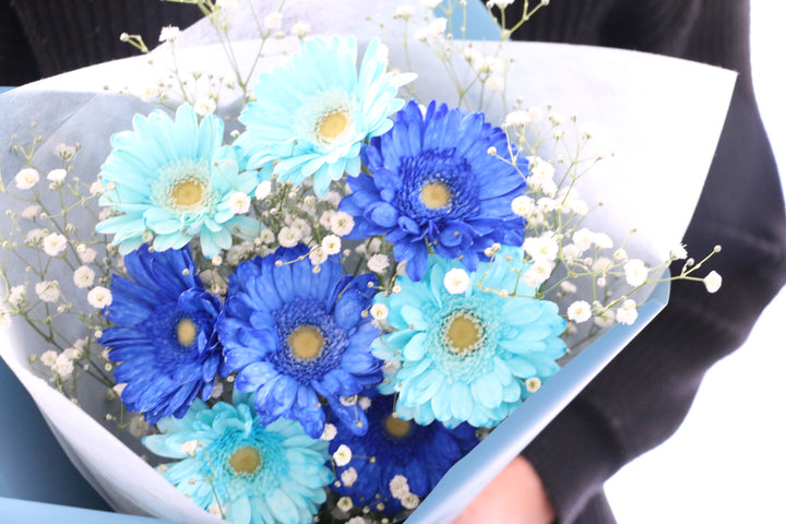 水色と青色のガーベラ（8本）とカスミソウの花束