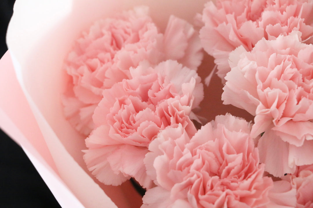 ピンクのカーネーションの花束（8本）-あなたの思いやりに感謝します