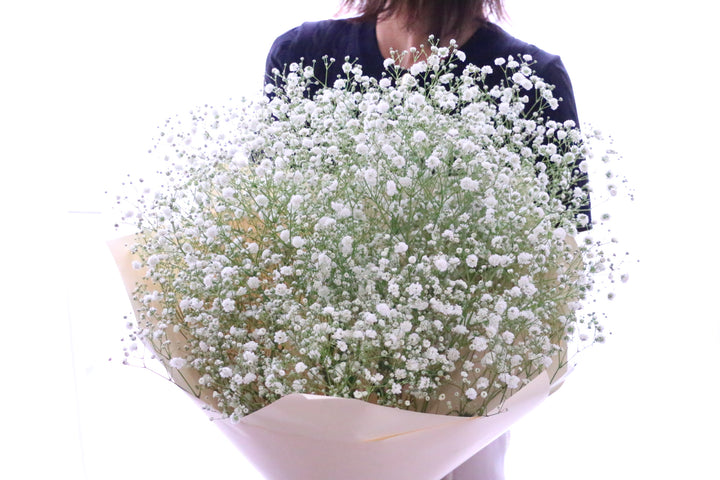 カスミソウ（かすみ草）の花束 7,000円