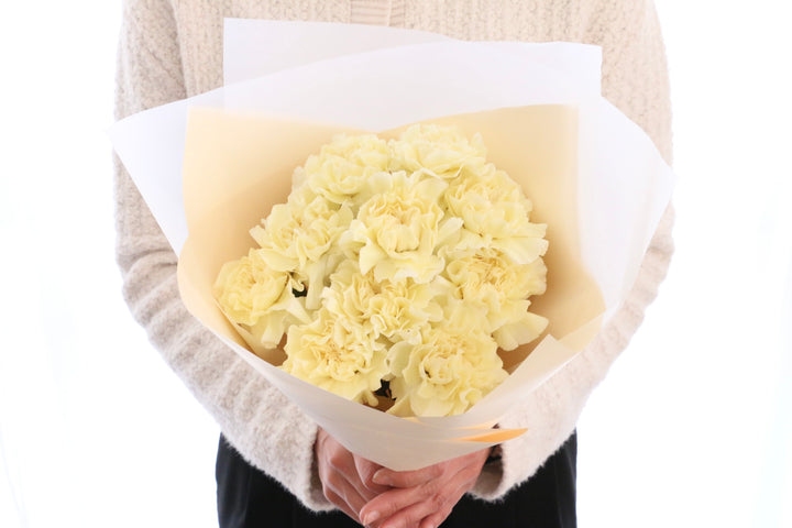 淡い黄色のカーネーションの花束（10本）