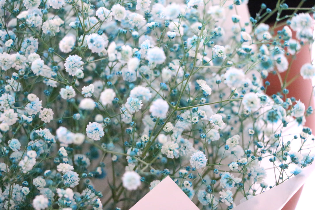水色のカスミソウ（かすみ草）の花束 3,500円