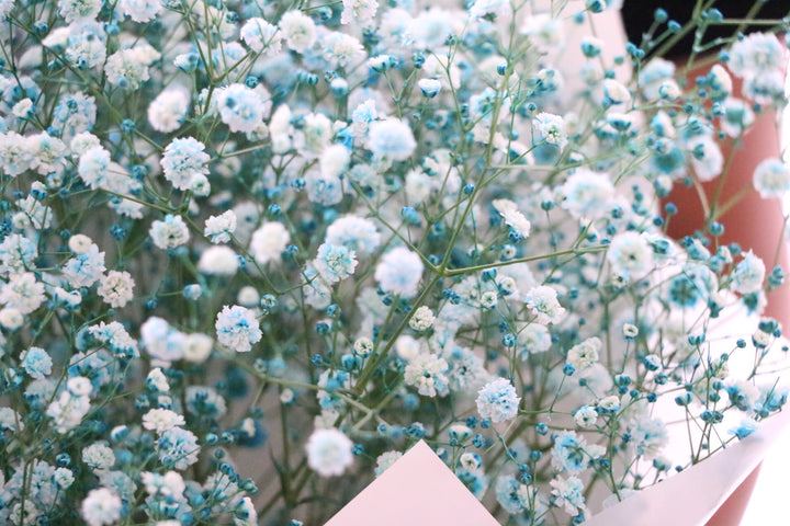水色のカスミソウ（かすみ草）の花束 3,500円