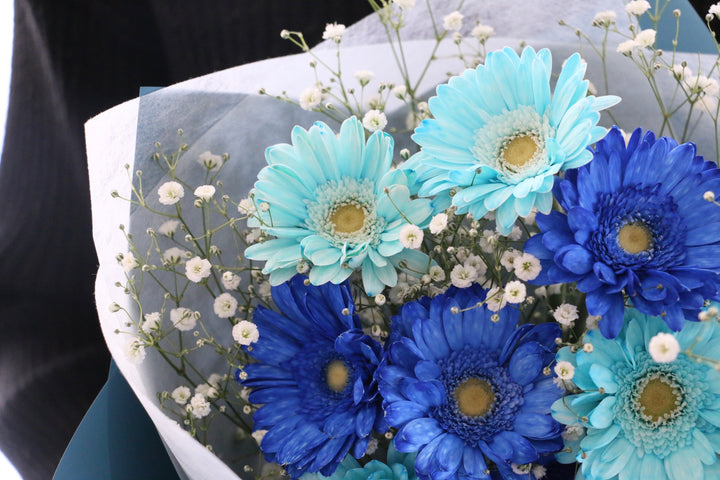 水色と青色のガーベラ（8本）とカスミソウの花束