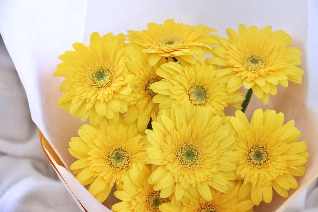 黄色のガーベラの花束（10本）