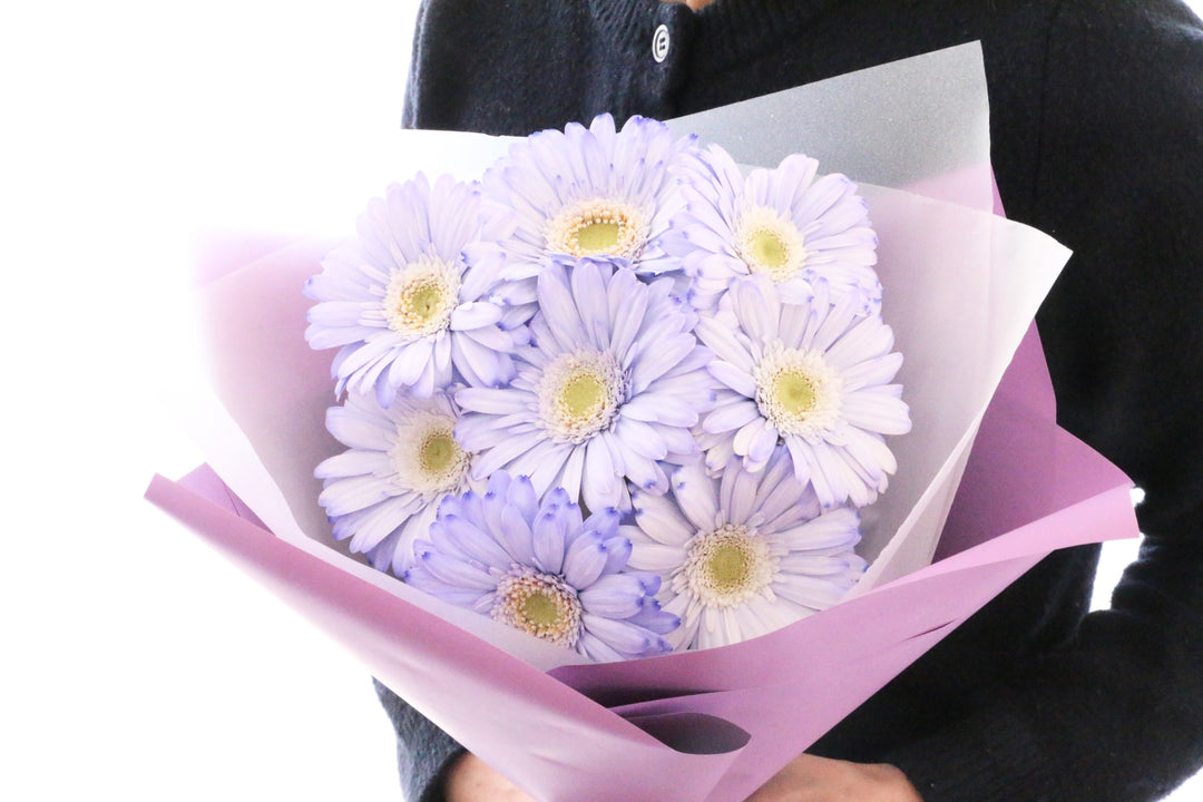 紫色のガーベラの花束（8本）-あなたの思いやりに感謝します