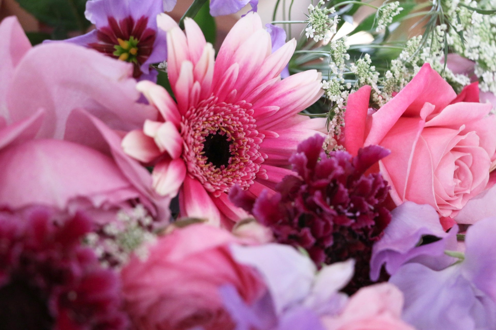 紫・ピンクの花束 10,000円 – 花・花束の通販サイト｜HanaTaku