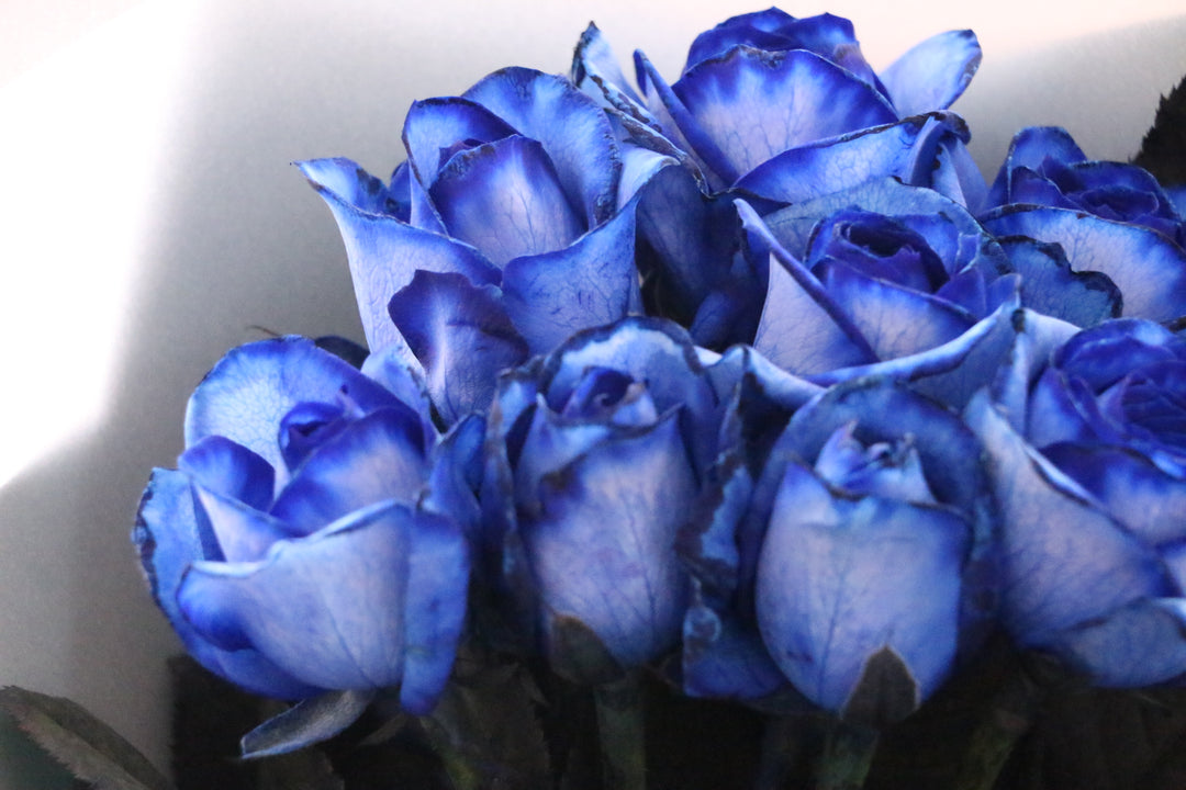 8本の青いバラの花束
