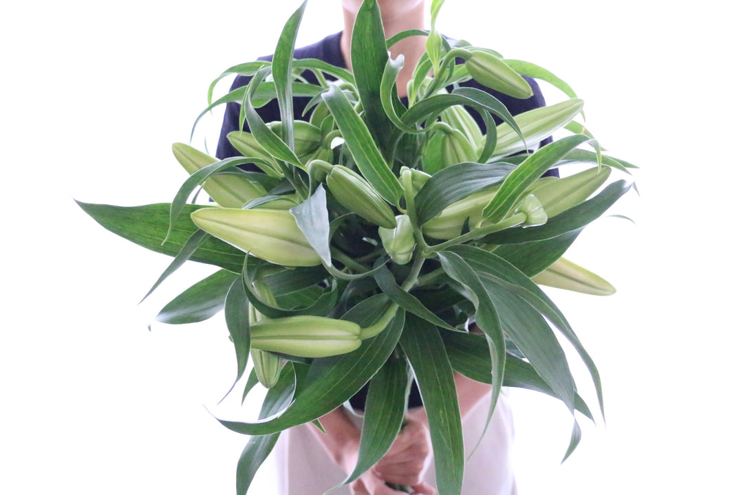 カサブランカの花束（5本）