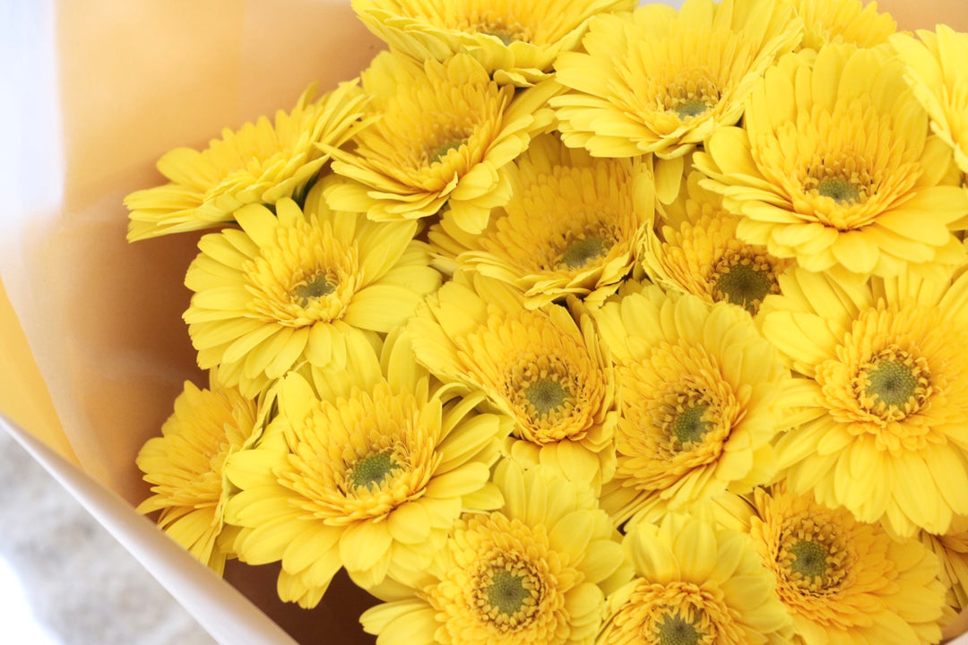 黄色のガーベラの花束（20本）-真心あるのみ