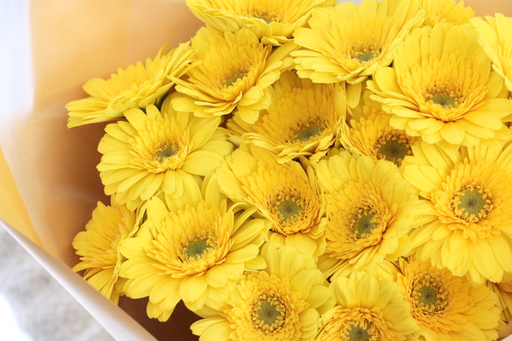 黄色のガーベラの花束（20本）-真心あるのみ