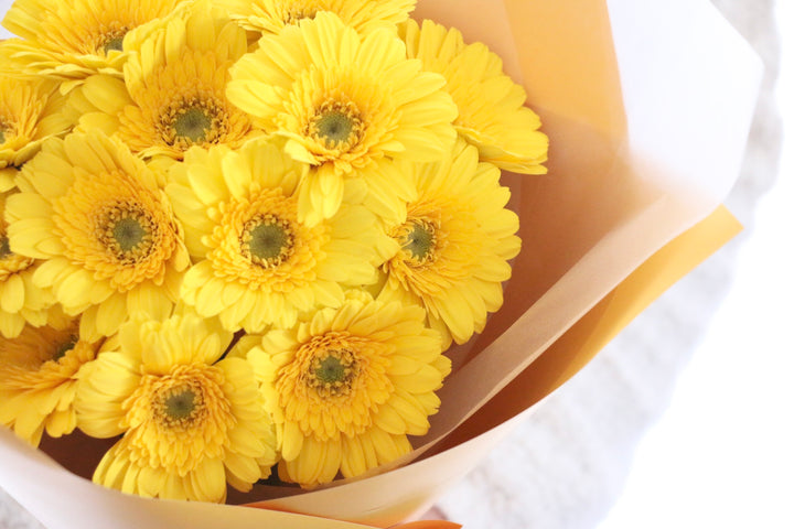 黄色のガーベラの花束（13本）-永遠の友情