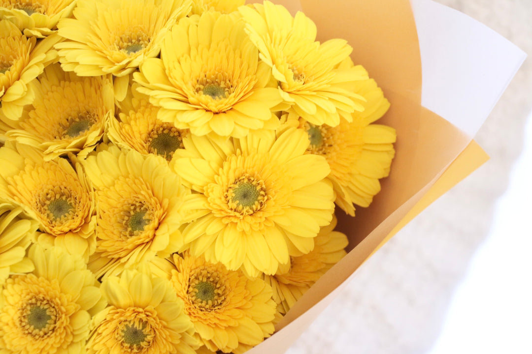 黄色のガーベラの花束（20本）-真心あるのみ