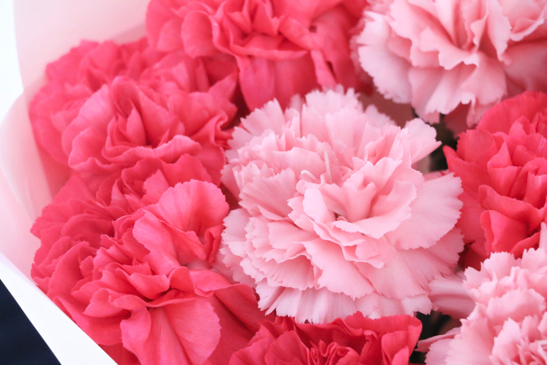 ピンク色ミックスのカーネーションの花束（10本）