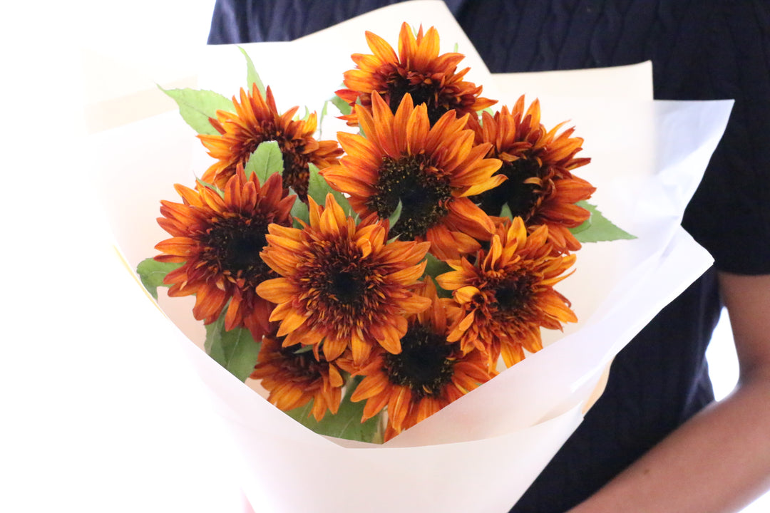 ブラウンのひまわりの花束（9本）