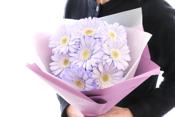 紫色のガーベラの花束（8本）-あなたの思いやりに感謝します