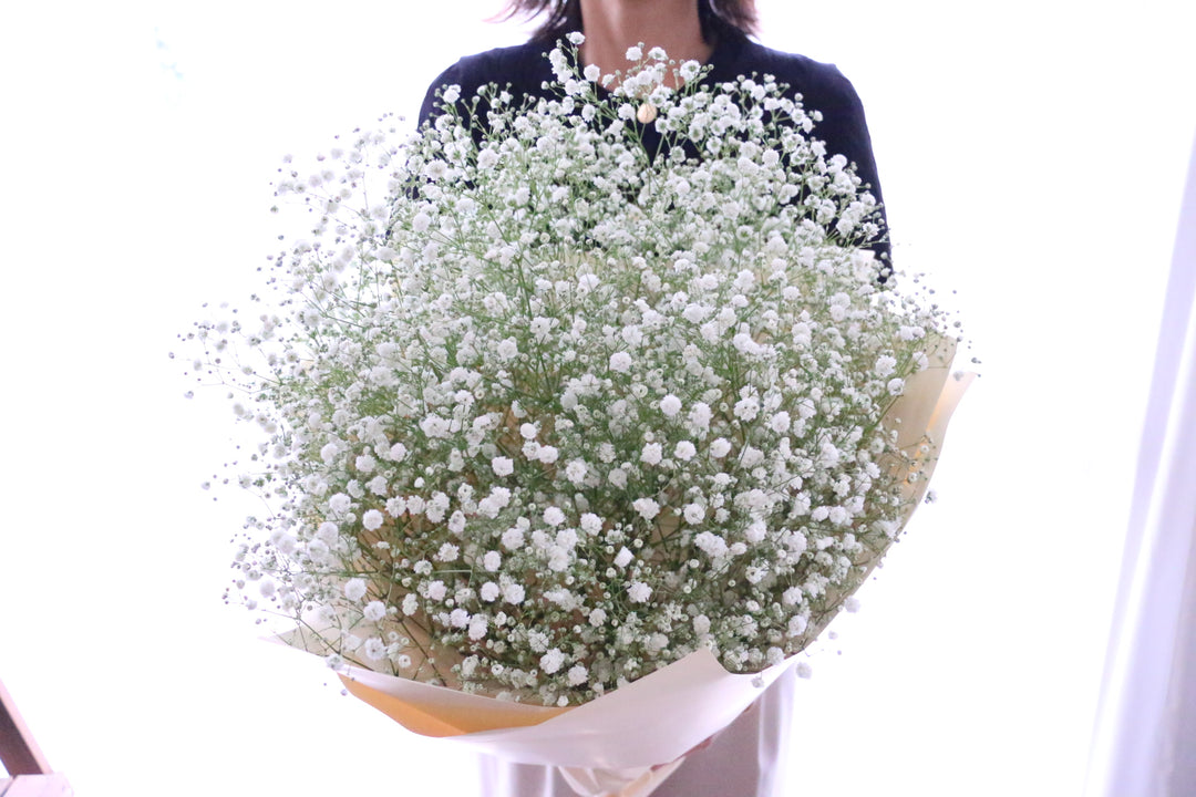 カスミソウ（かすみ草）の花束 8,000円