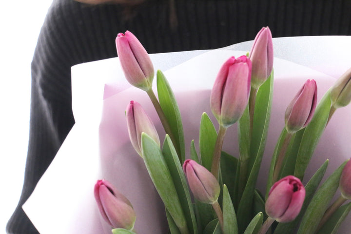 紫色のチューリップの花束（10本）