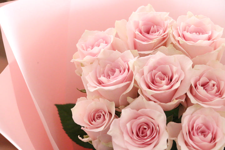 9本のピンク色のバラの花束