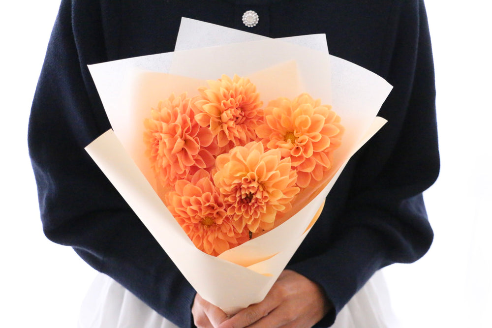 オレンジ色のダリアの花束（5本）