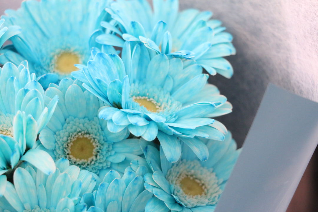 水色のガーベラの花束（9本）-いつまでも一緒にいてください