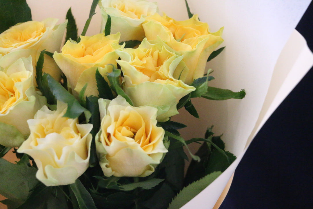 黄色いバラの花束（8本）-あなたの思いやりに感謝します