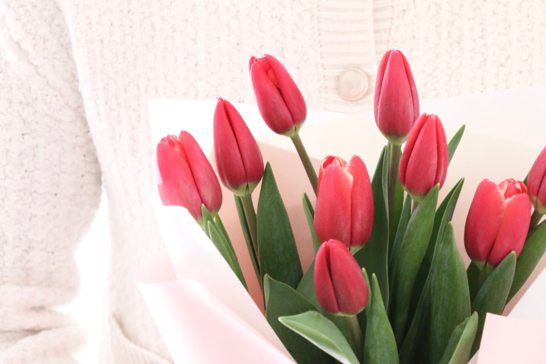 赤色のチューリップの花束（9本） – 花・花束の通販サイト｜HanaTaku