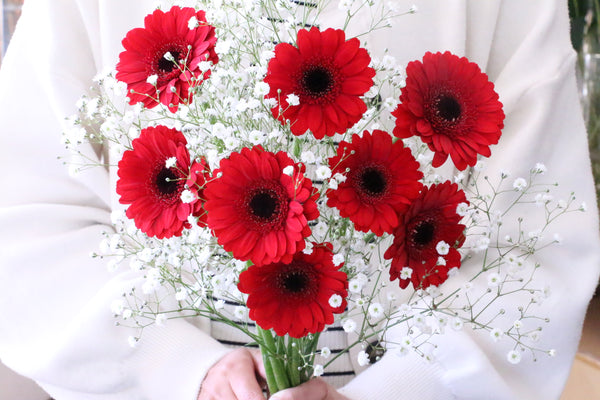 カスミソウと赤色ガーベラの花束