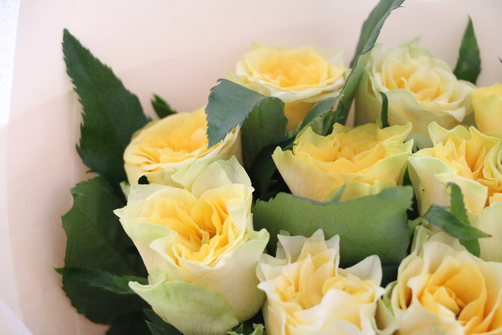 黄色バラの花束（9本）-いつまでも一緒にいてください