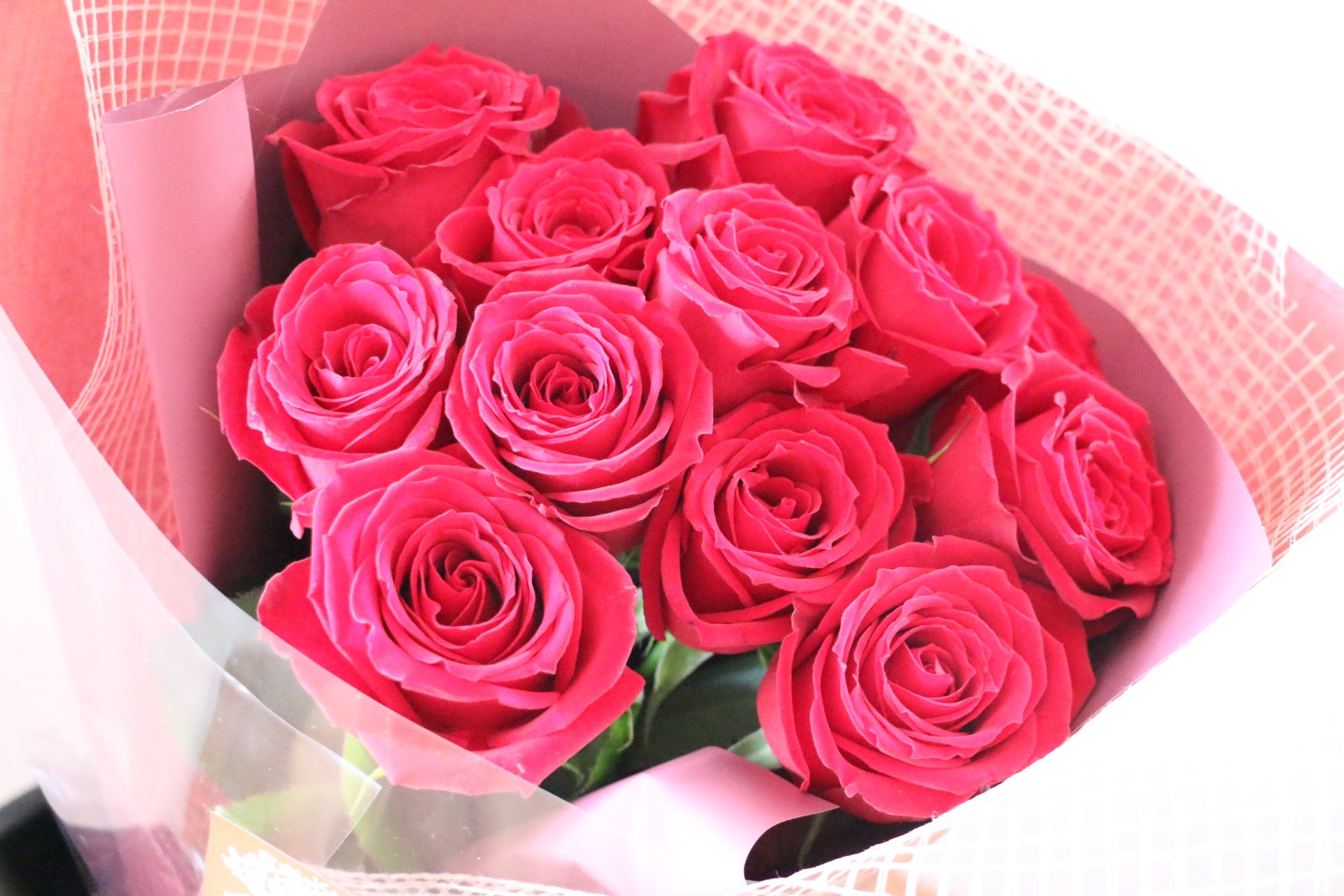 プロポーズ】12本の赤いバラの花束（ダズンローズ）-私の妻に