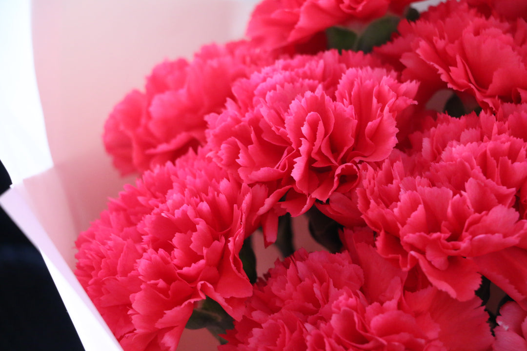 濃いピンクのカーネーションの花束（12本）-私の妻になってください