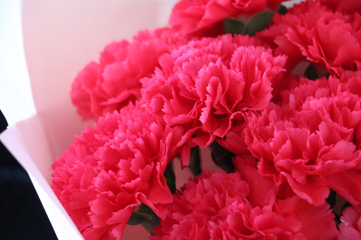 濃いピンクのカーネーションの花束（12本）-私の妻になってください