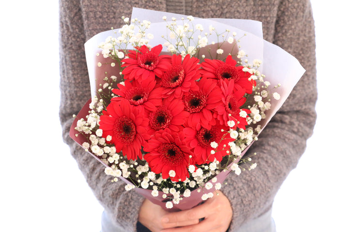赤色のガーベラ（10本）とカスミソウの花束