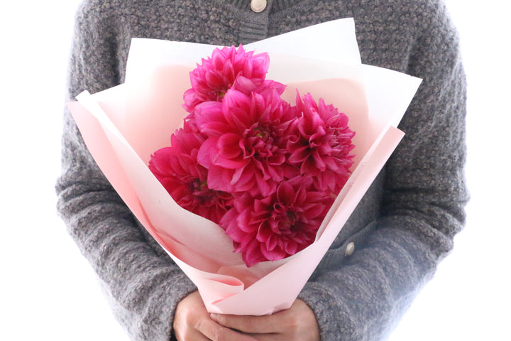 ピンク色のダリアの花束（5本）