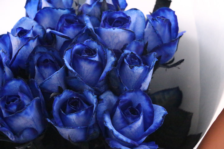 13本の青いバラの花束