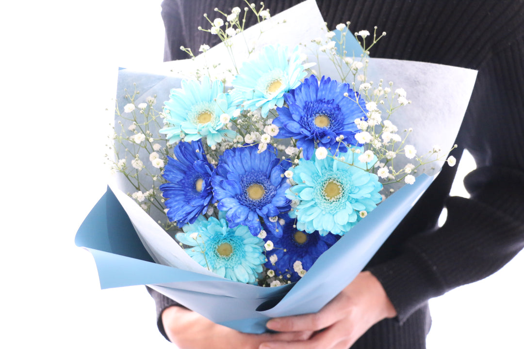 水色と青色のガーベラ（8本）とカスミソウの花束