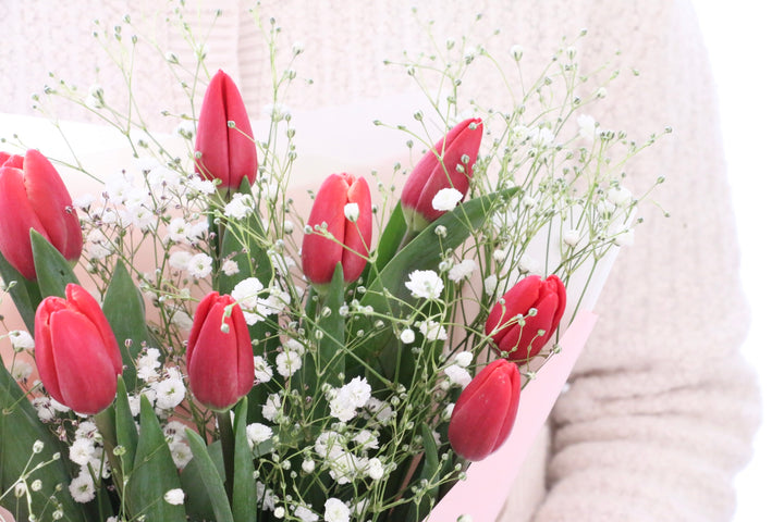 赤いチューリップ（10本）とカスミソウの花束