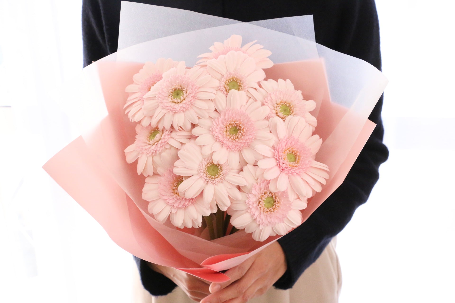 ピンク色のガーベラの花束（12本）-私の妻になってください – 花・花束