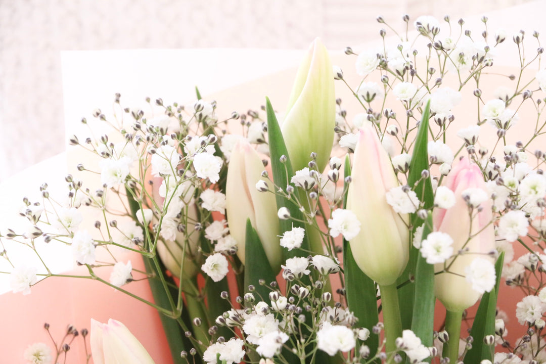 淡いピンクのチューリップ（9本）とカスミソウの花束