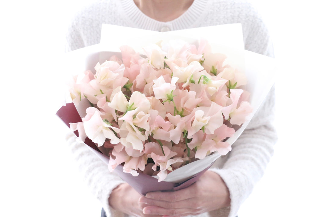 淡いピンク色のスイートピーの花束（25本）