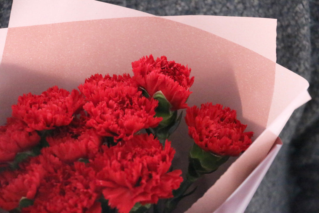 赤色のカーネーションの花束（10本）