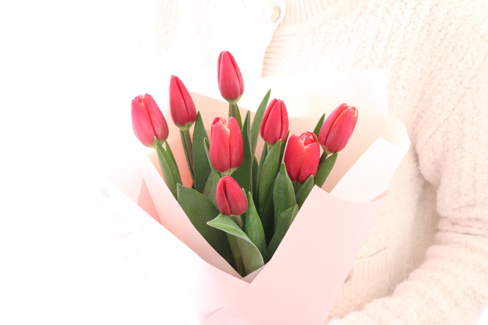 赤色のチューリップの花束（8本） – 花・花束の通販サイト｜HanaTaku