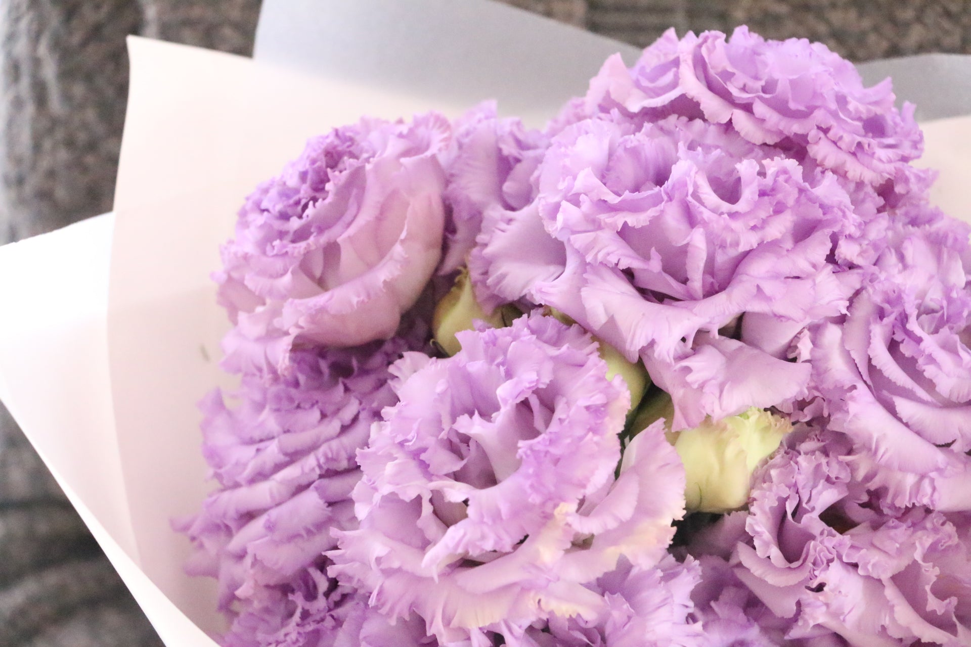 紫色のトルコキキョウの花束（3本） – 花・花束の通販サイト｜HanaTaku