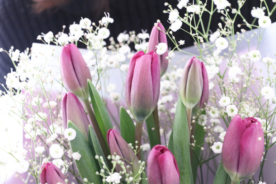 紫色のチューリップ（10本）とカスミソウの花束