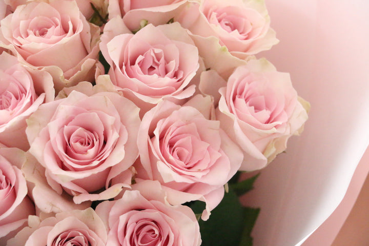 14本のピンク色のバラの花束